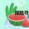 探險尋寶（關(guān)于探險尋寶簡介）