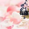 崔建群（關(guān)于崔建群簡介）