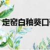 定窯白釉葵口碗（關于定窯白釉葵口碗介紹）