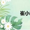 崔小鬧（關(guān)于崔小鬧簡(jiǎn)介）