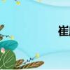 崔廓（關(guān)于崔廓簡介）