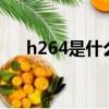 h264是什么格式（這里有正解快來看）