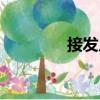 接發(fā)片（關(guān)于接發(fā)片簡介）