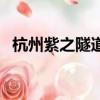杭州紫之隧道有多長（杭州紫之隧道長度）