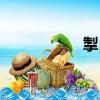 掣白（關于掣白簡介）