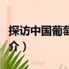 探訪中國(guó)葡萄酒莊（關(guān)于探訪中國(guó)葡萄酒莊簡(jiǎn)介）