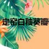 定窯白釉葵瓣碗（關于定窯白釉葵瓣碗介紹）