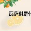 瓦薩琪是什么牌子（瓦薩琪牌子介紹）