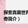 探索真菌世界的神奇（關(guān)于探索真菌世界的神奇簡介）