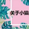 關(guān)于小貓的資料（小貓的資料簡述）