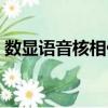 數(shù)顯語音核相儀（關(guān)于數(shù)顯語音核相儀簡介）