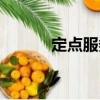 定點服務(wù)（關(guān)于定點服務(wù)介紹）