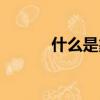 什么是象形字（象形字的定義）