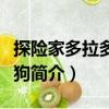 探險(xiǎn)家多拉多拉小狗（關(guān)于探險(xiǎn)家多拉多拉小狗簡(jiǎn)介）