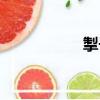 掣子（關(guān)于掣子簡(jiǎn)介）