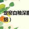 定窯白釉深腹式碗（關于定窯白釉深腹式碗介紹）