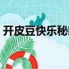 開皮豆快樂秘籍（關(guān)于開皮豆快樂秘籍介紹）