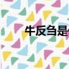牛反芻是什么意思（牛反芻的含義）