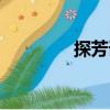 探芳訊（關于探芳訊簡介）