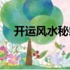 開運風(fēng)水秘籍（關(guān)于開運風(fēng)水秘籍介紹）