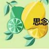 思念你（關(guān)于思念你介紹）