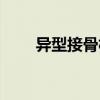 異型接骨板（關(guān)于異型接骨板介紹）
