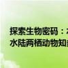 探索生物密碼：水陸兩棲動(dòng)物知多少（關(guān)于探索生物密碼：水陸兩棲動(dòng)物知多少簡(jiǎn)介）