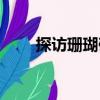 探訪珊瑚礁（關于探訪珊瑚礁簡介）