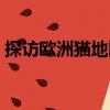 探訪歐洲貓地圖（關于探訪歐洲貓地圖簡介）