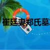 崔廷妻鄭氏墓志（關(guān)于崔廷妻鄭氏墓志簡介）