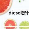 diesel是什么牌子（diesel品牌介紹）