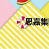 思嘉集團（關于思嘉集團介紹）