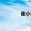 崔小罪（關(guān)于崔小罪簡(jiǎn)介）