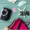 定海城（關(guān)于定海城介紹）