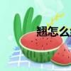 翹怎么組詞（翹的組詞有哪些）