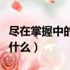 盡在掌握中的盡什么意思（盡在掌握中的盡指什么）