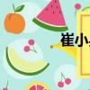 崔小兵（關于崔小兵簡介）