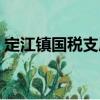定江鎮(zhèn)國稅支局（關(guān)于定江鎮(zhèn)國稅支局介紹）