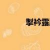 掣衿露肘（關于掣衿露肘簡介）