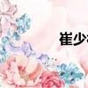 崔少林（關(guān)于崔少林簡介）