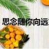 思念隨你向遠方（關于思念隨你向遠方介紹）