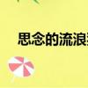思念的流浪狗（關(guān)于思念的流浪狗介紹）