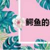 鱷魚的養(yǎng)殖方法（鱷魚怎么養(yǎng)）