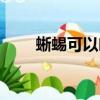 蜥蜴可以吃什么（蜥蜴吃什么食物）