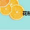 花枝是什么（花枝簡(jiǎn)述）