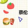 蔡倫簡(jiǎn)介（蔡倫主要成就）