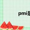 pmi是什么意思（pmi簡介）