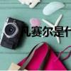 凡賽爾是什么意思梗（什么是凡爾賽）