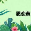 思戀黃河（關(guān)于思戀黃河介紹）