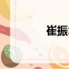 崔振術(shù)（關(guān)于崔振術(shù)簡介）